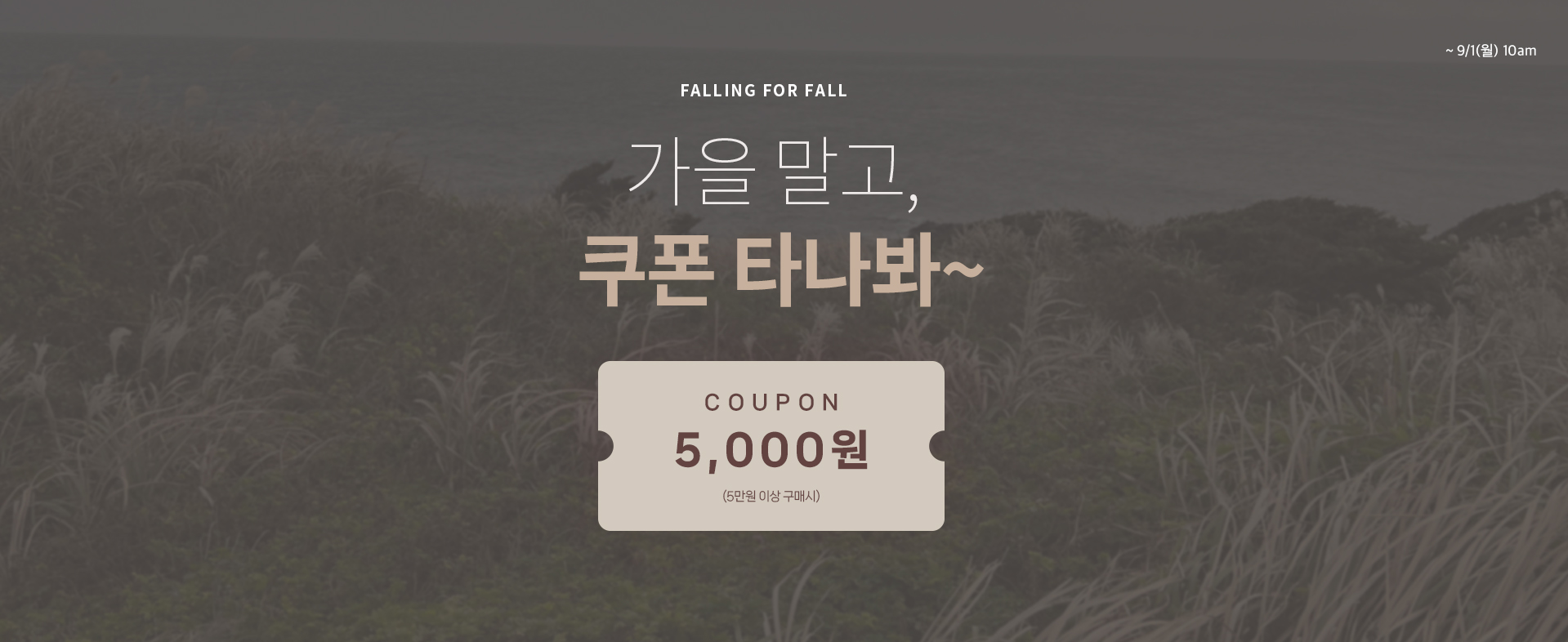 5천원쿠폰